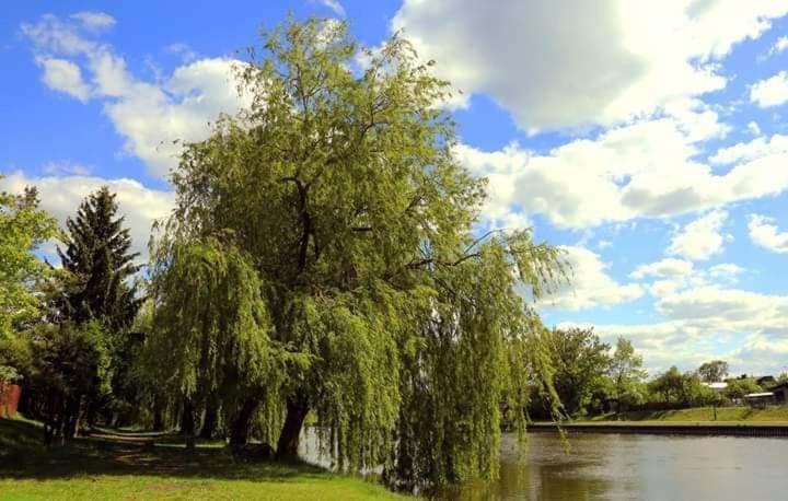 August Osrodek Wypoczynkowy Hotel เอากุสตูฟ ภายนอก รูปภาพ